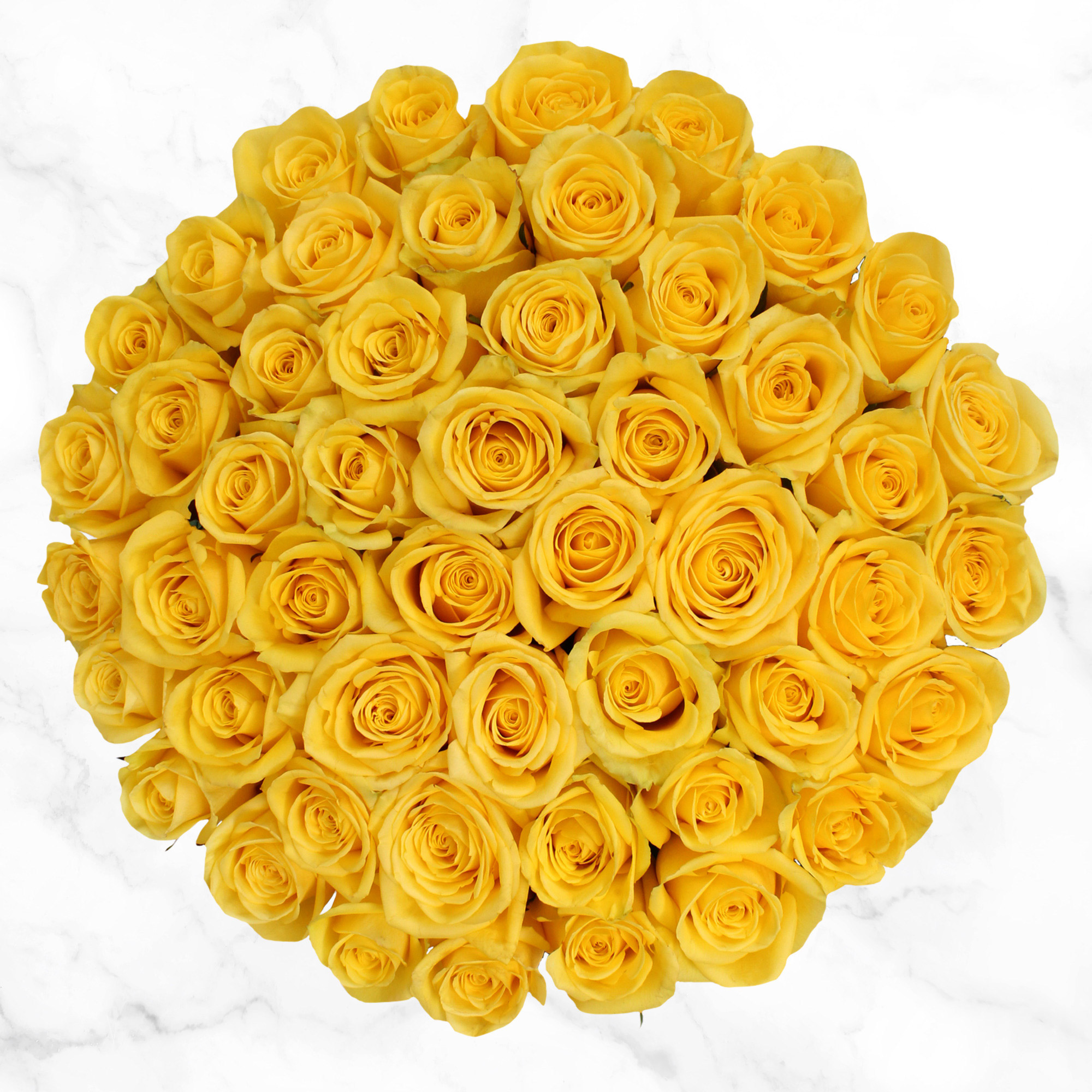 50-stem Yellow Roses