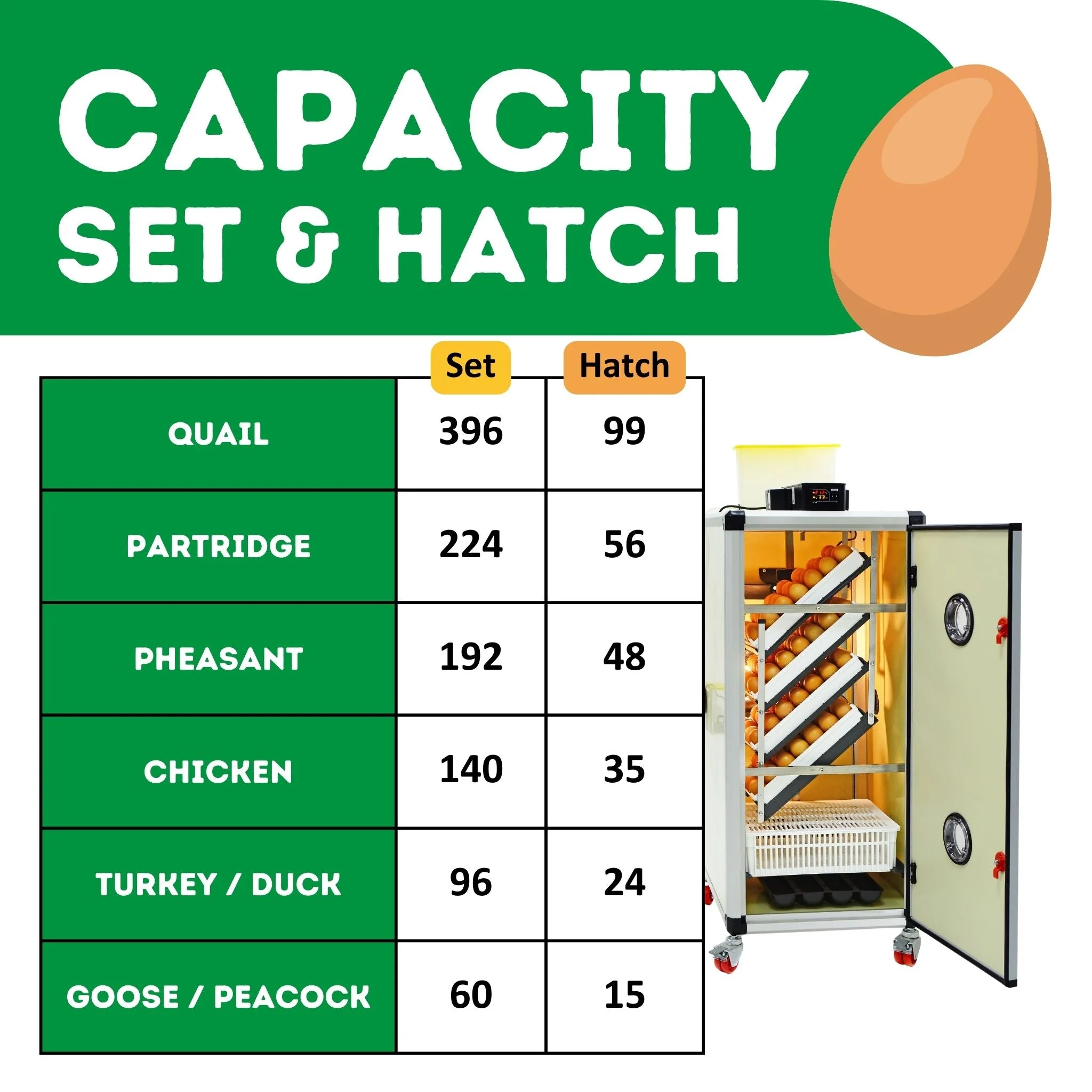HB175C Egg Incubator with Hatcher Combo. Automatic Egg Turning and Humidity Control, Adjustable Egg Setter Trays, Perfect Poultry Incubator, Set and Forget Design. - Cimuka by Hatching Time - Image 8