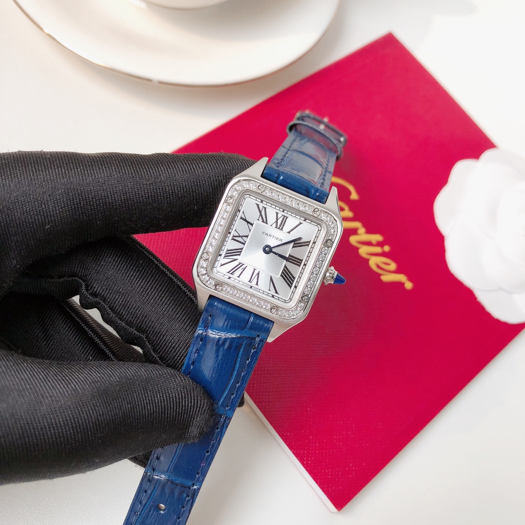 Santos Demoisell Santos Platinum Diamonds - Stainless Steel Mini(1:1 replica) - Top club