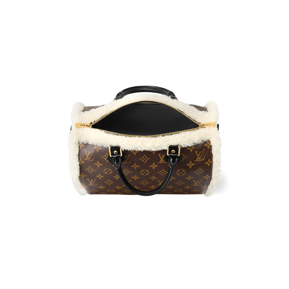 Louis Vuitton Speedy Soft 30 Teddy（10A Mirror Version）1:1High-quality replica