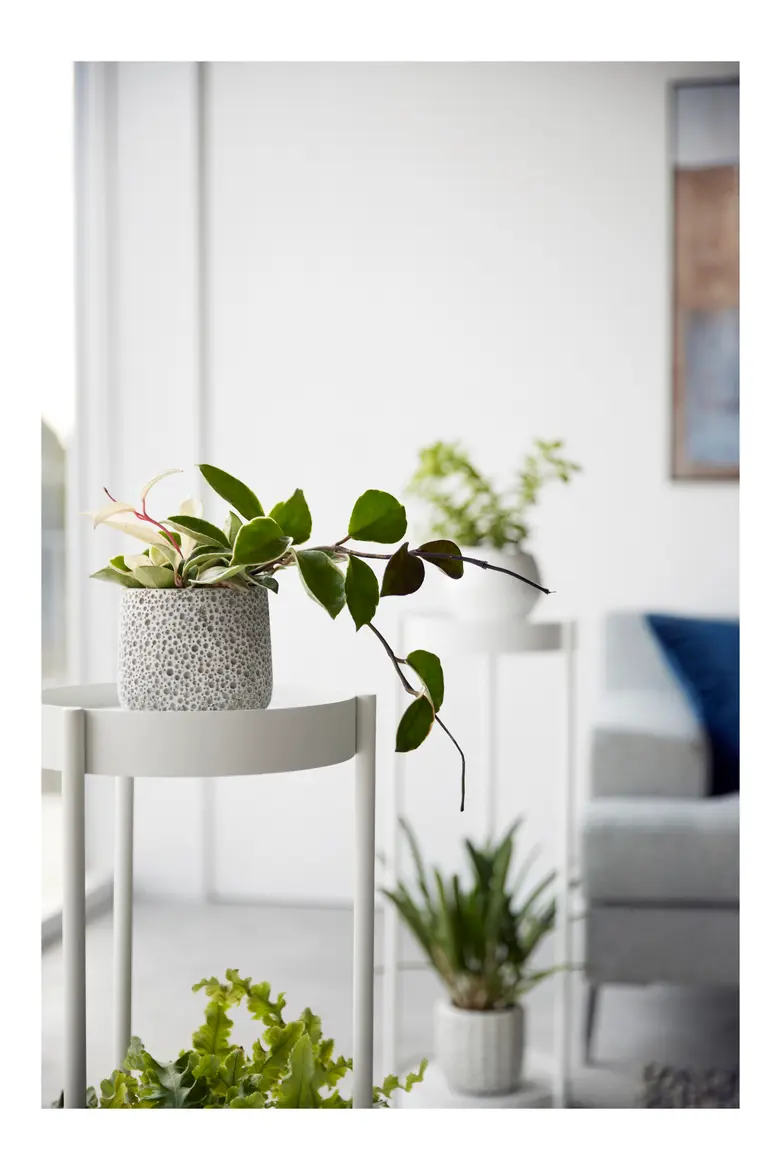 Rolling Two-Tier Plant Stand