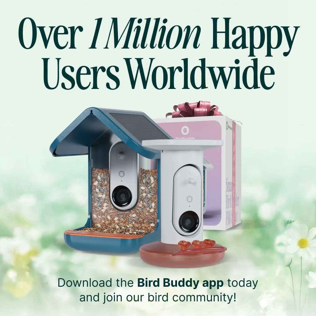 Birdbuddy PRO Solar Smart Bird Feeder With Camera, 5MP Photos, 2K HD Video, Blue - PRO - Image 10 Birdbuddy PRO Solar Smart Bird Feeder With Camera, 5MP Photos, 2K HD Video, Blue - PRO - Image 10