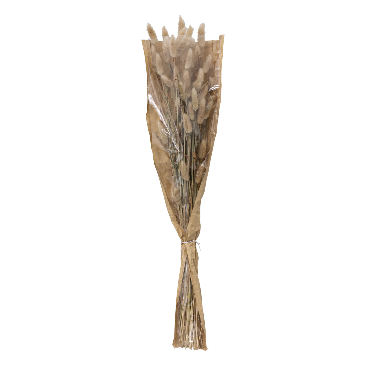 Dried flower bouquet "Ori" Ivory white, H.58 cm