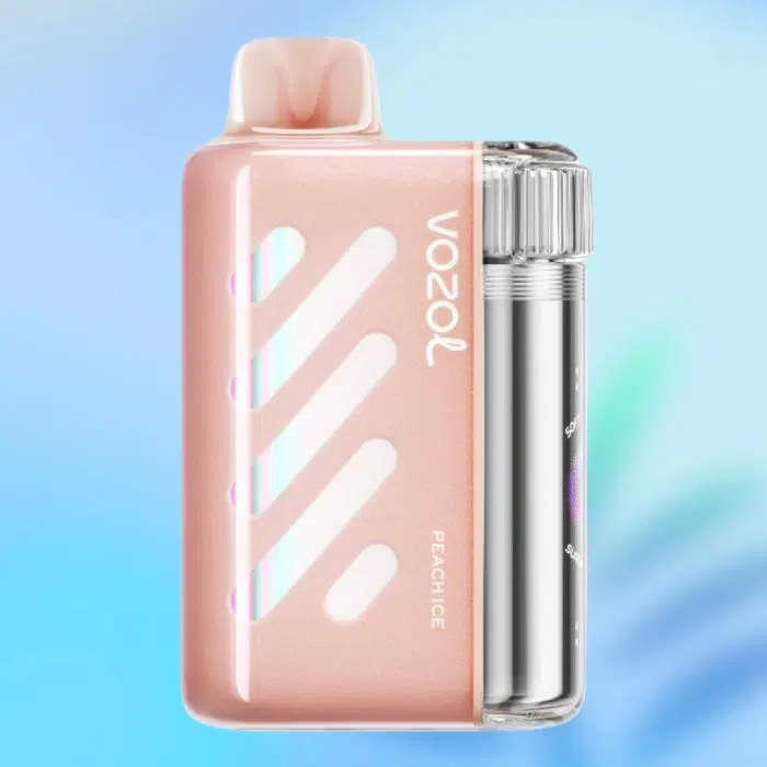 VOZOL VISTA 40000 puffs