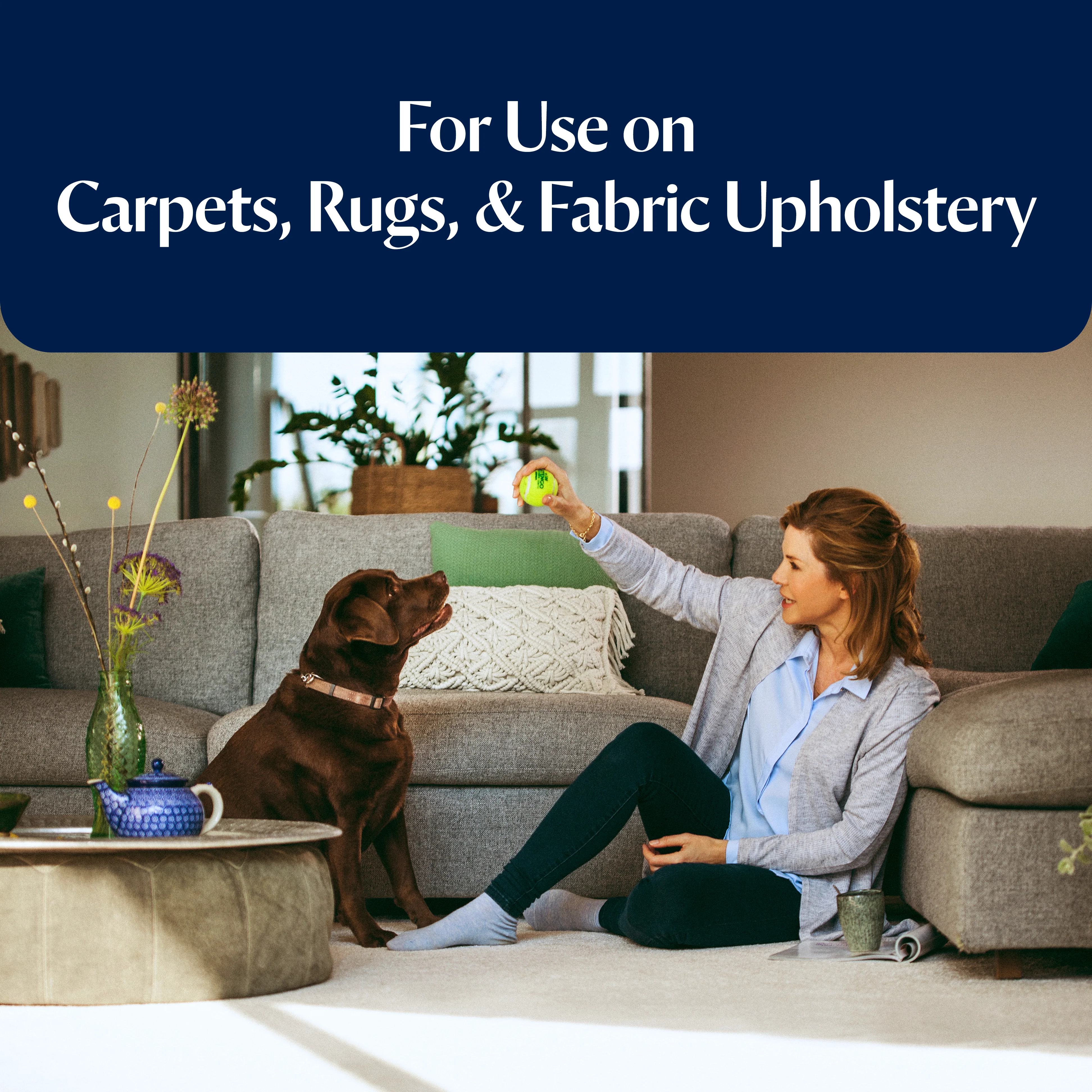 Revolution Starter Kit