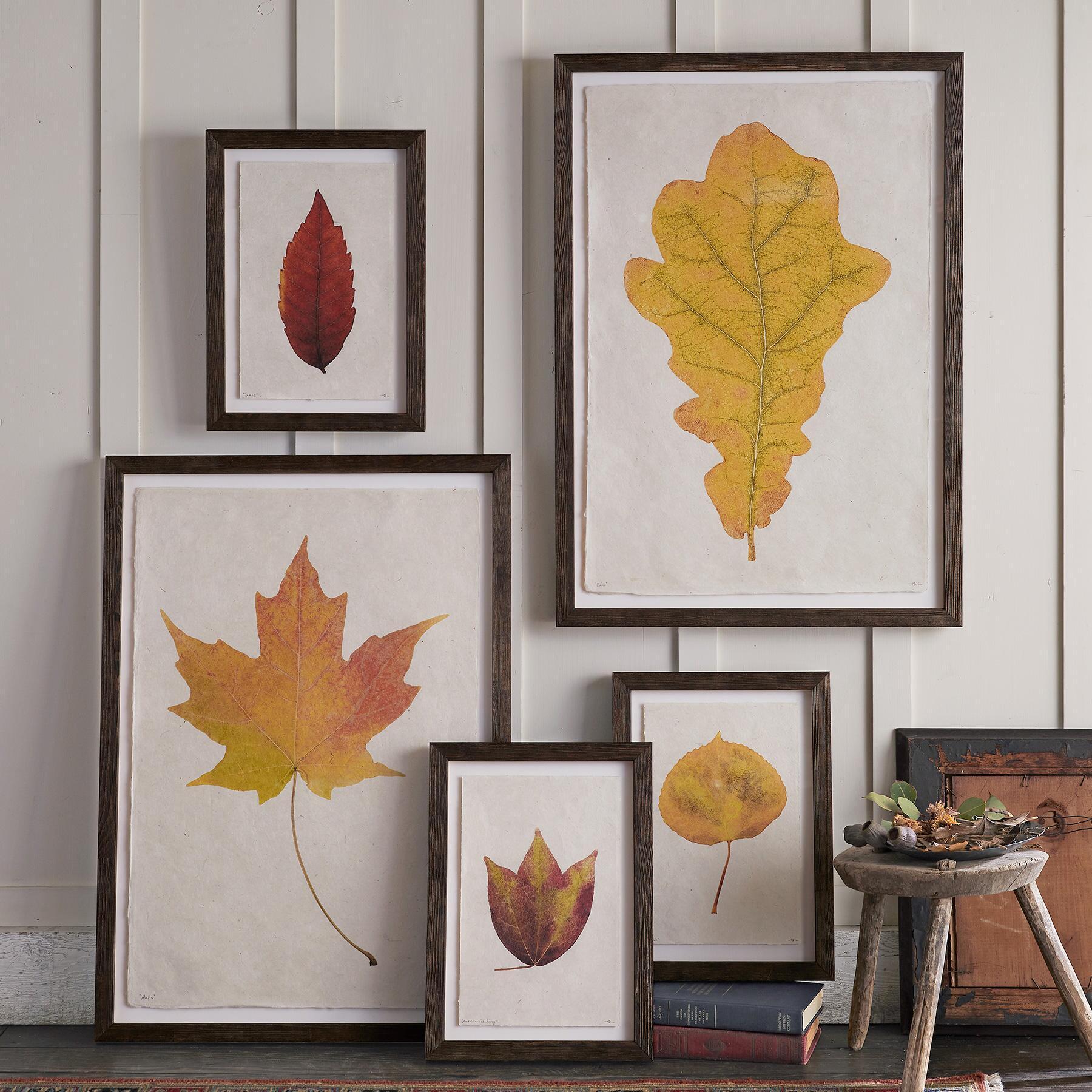 Leaf Studies Print - Sundance Clothing