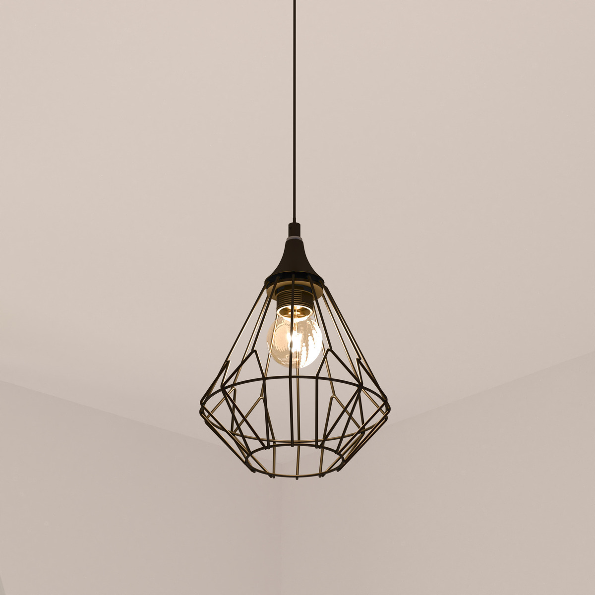 Wire suspension lamp "Flave" Black metal, D.19 cm