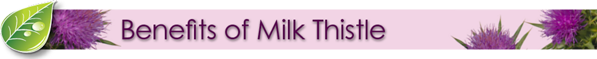 Benefits of Milk Thistle