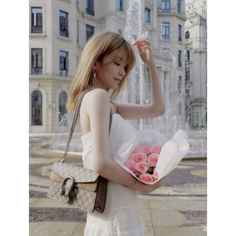 Replica Gucci Dionysus Gg Canvas Small Shoulder Bag 4996231:1High-quality replica