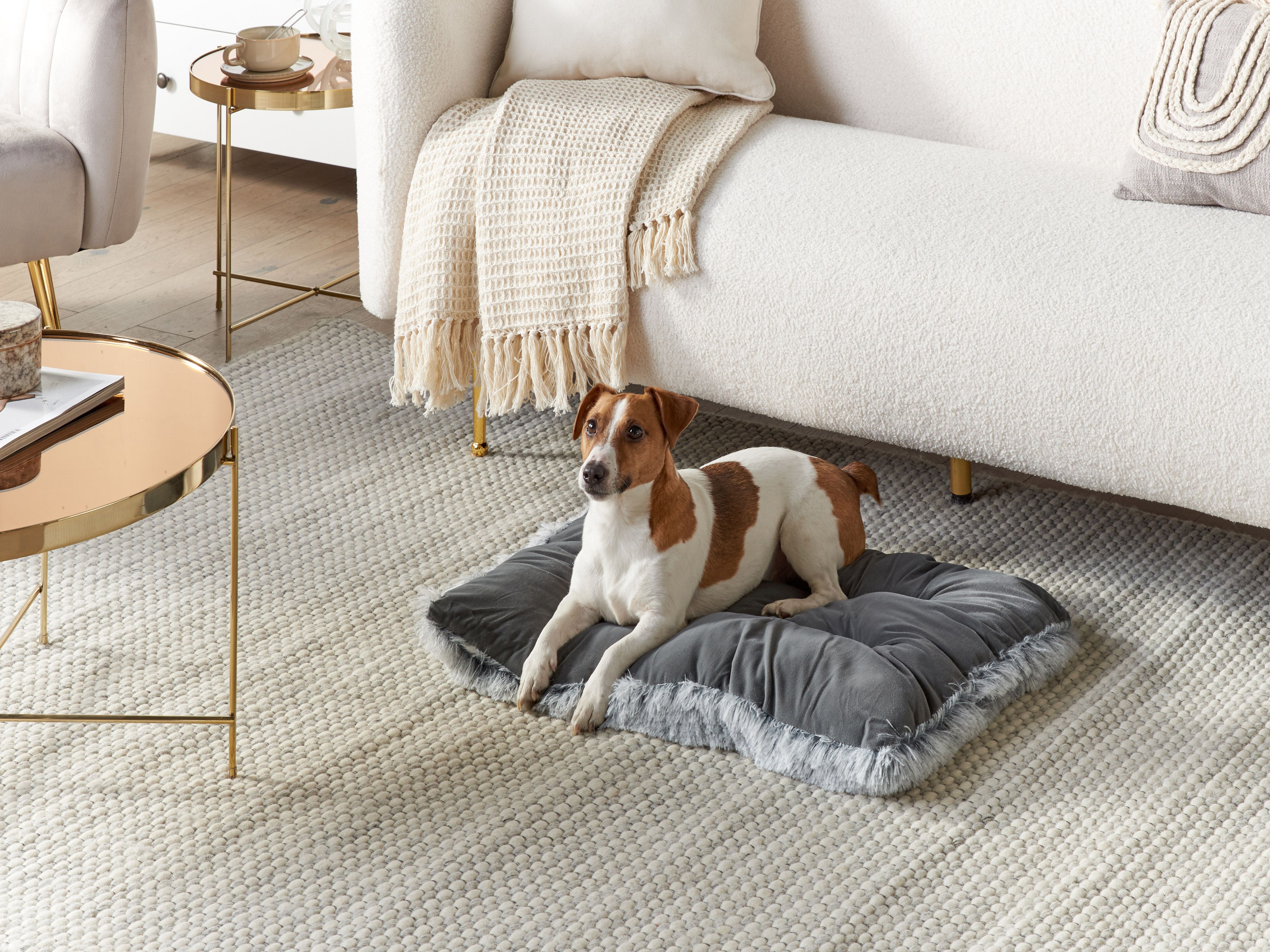 Pet Bed ERGANI Velvet Grey