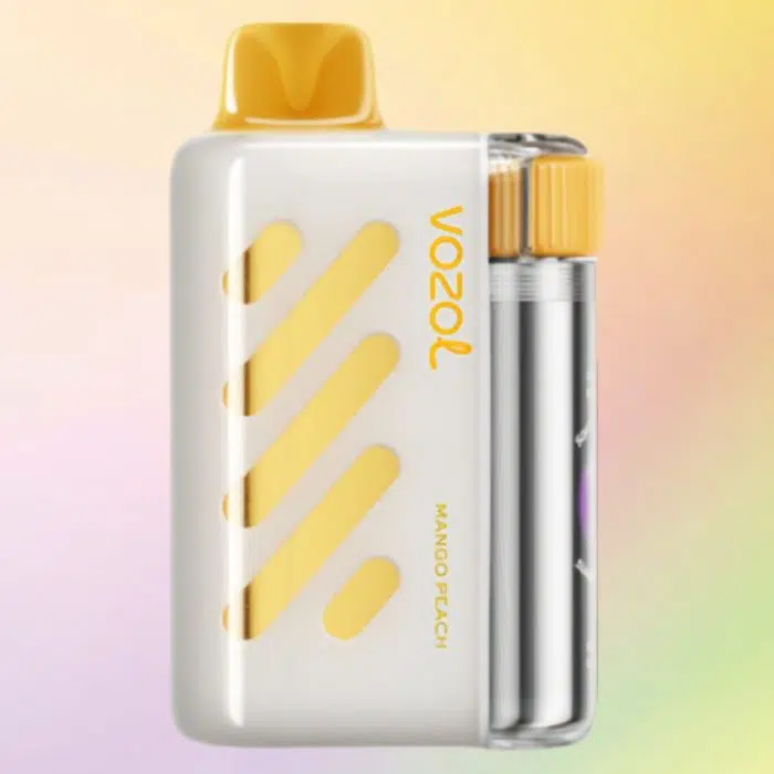 VOZOL VISTA 40000 puffs