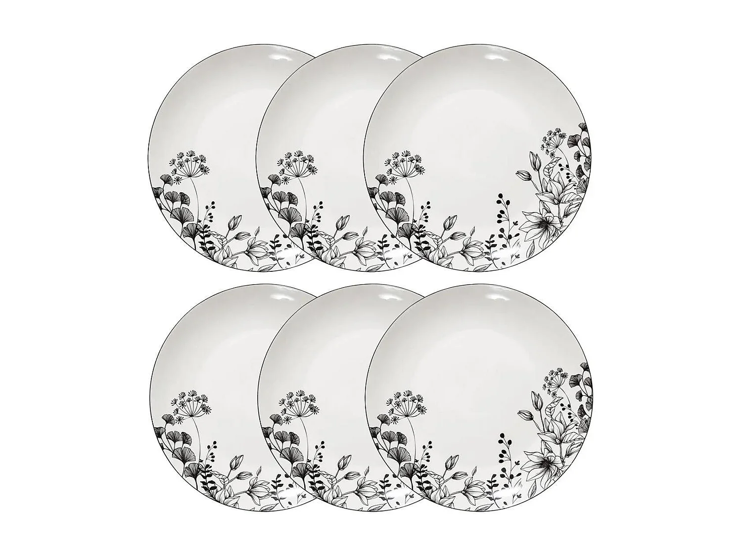 Lot de 6 Assiettes Plates 