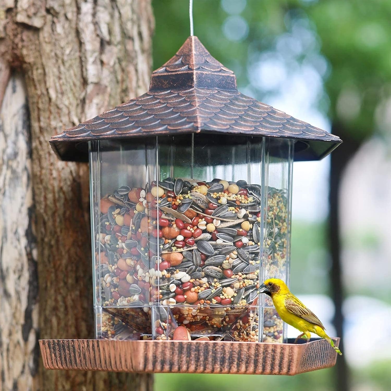 Duurzame Hangende Vogelvoederbak met Transparante Zaadcontainer en Koperen Dak voor Wilde Vogels - 20 cm x 22 cm