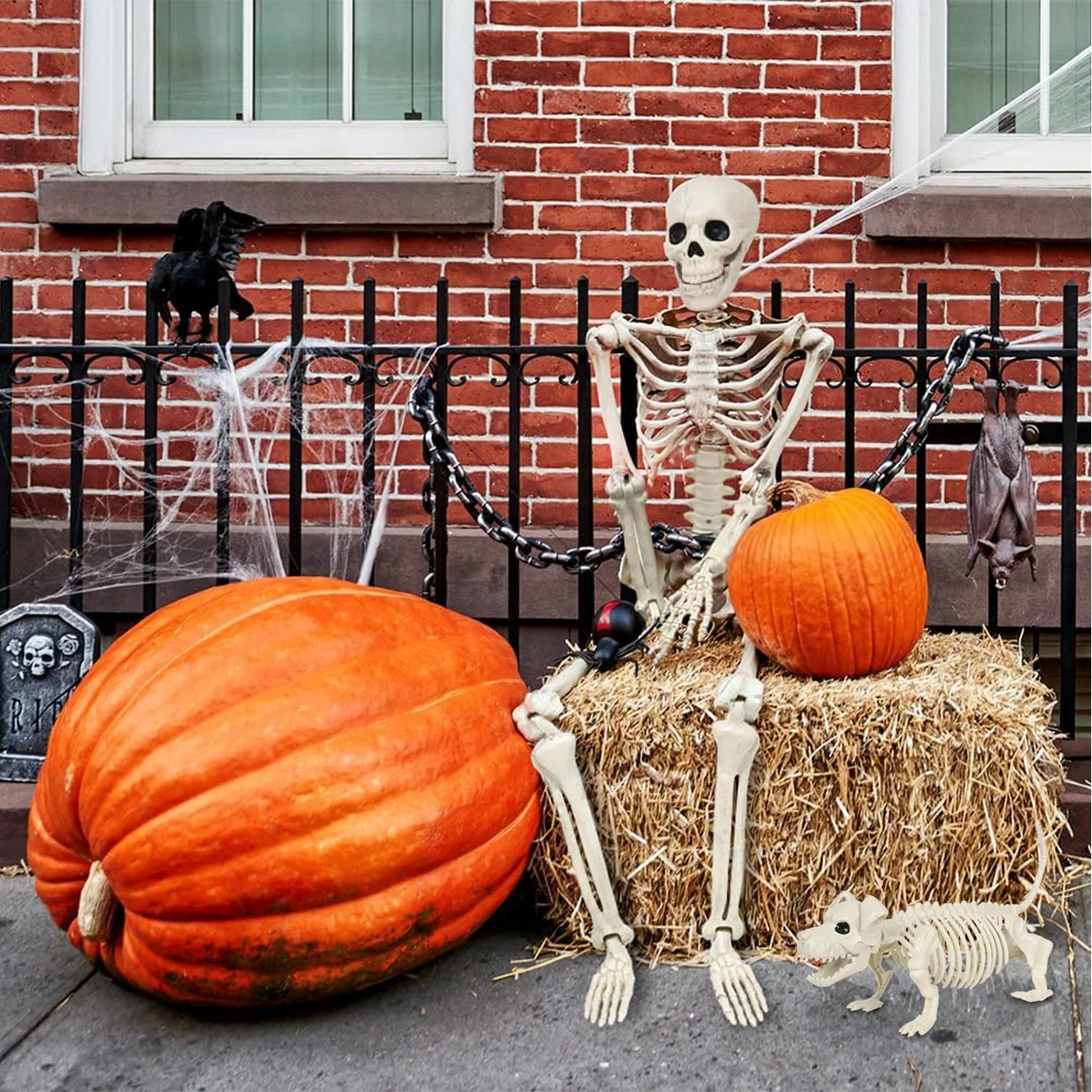 Ayieyill 2pcs Skeleton and Dog Skeleton Halloween Decorations Posable Skeletons Halloween Decorations Indoor Outdoor - Image 10 Ayieyill 2pcs Skeleton and Dog Skeleton Halloween Decorations Posable Skeletons Halloween Decorations Indoor Outdoor - Image 10