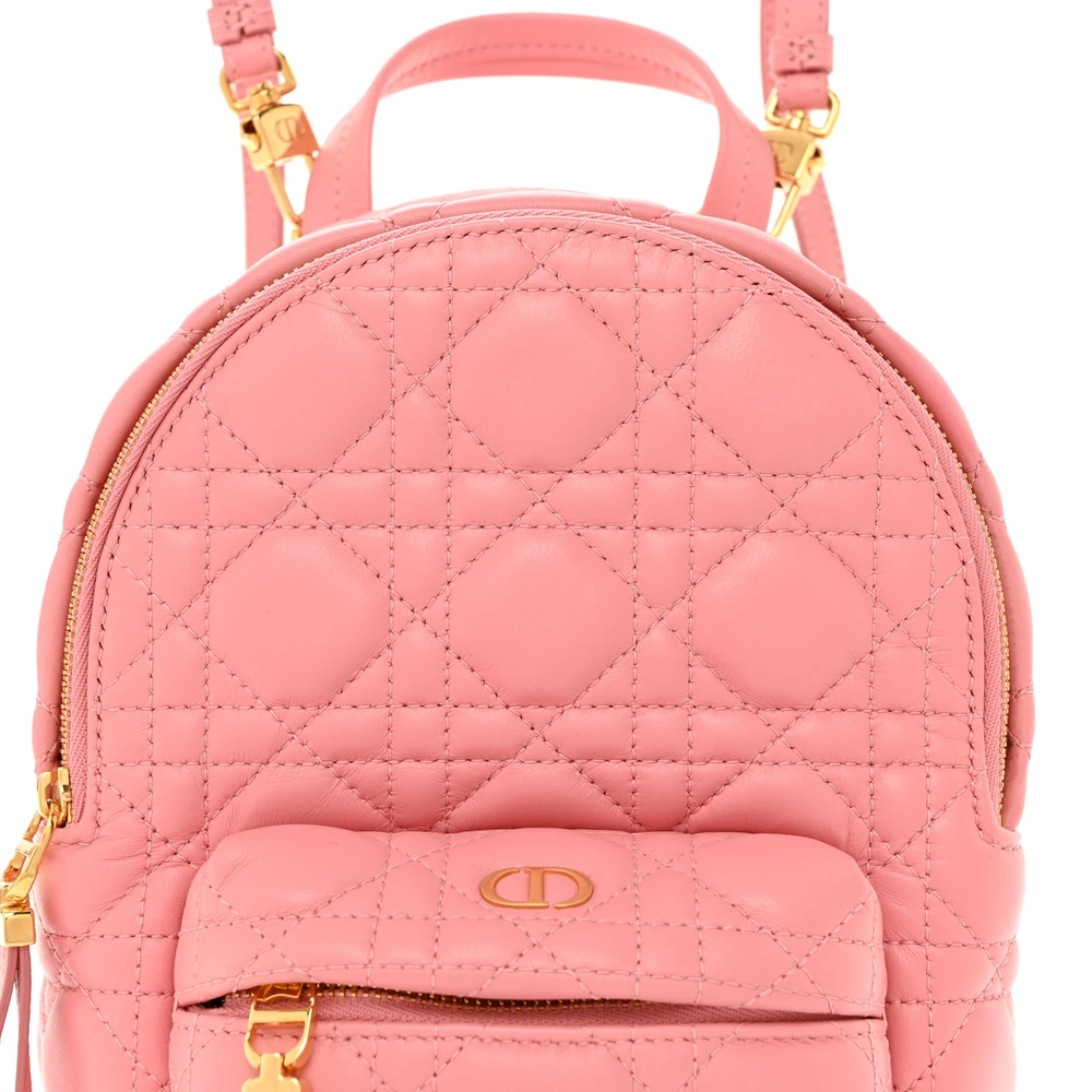 Mirror Quality Dior Peach Blossom Mini Backpack Replica1:1High-quality replica