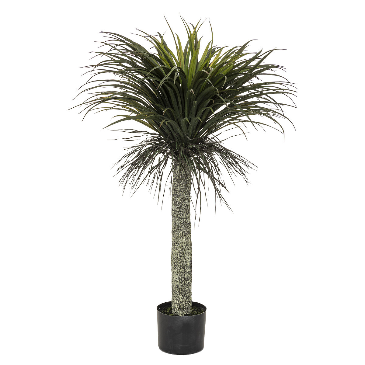 Artificial yucca "Tropics" H.150 cm