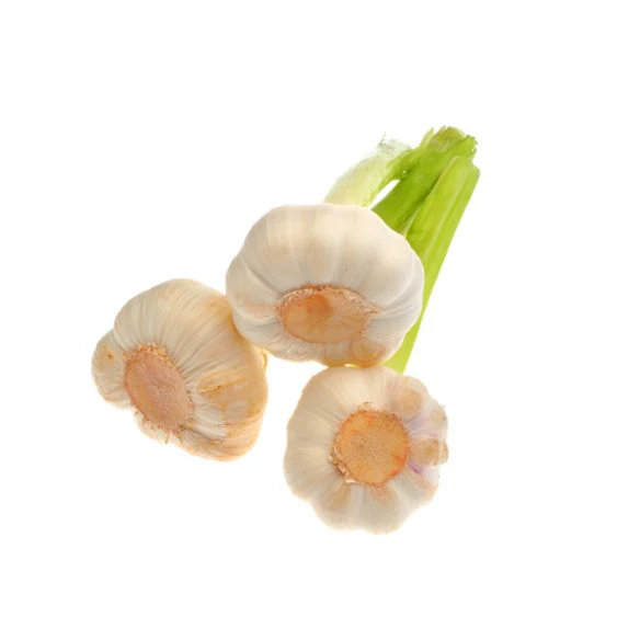 Fresh garlic – mildly aromatic for truly gourmet cuisine