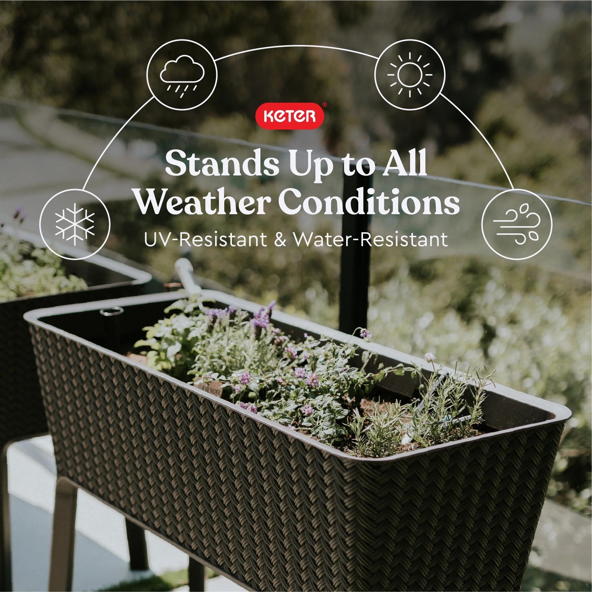Keter Splendor 31.7 Gallon Raised Garden Bed with Self Watering and Drainage, Grey - Image 17