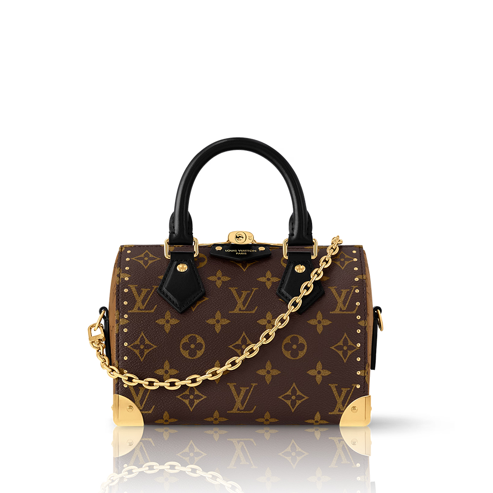 Louis Vuitton Speedy Trunk 20 Bag (Replica)