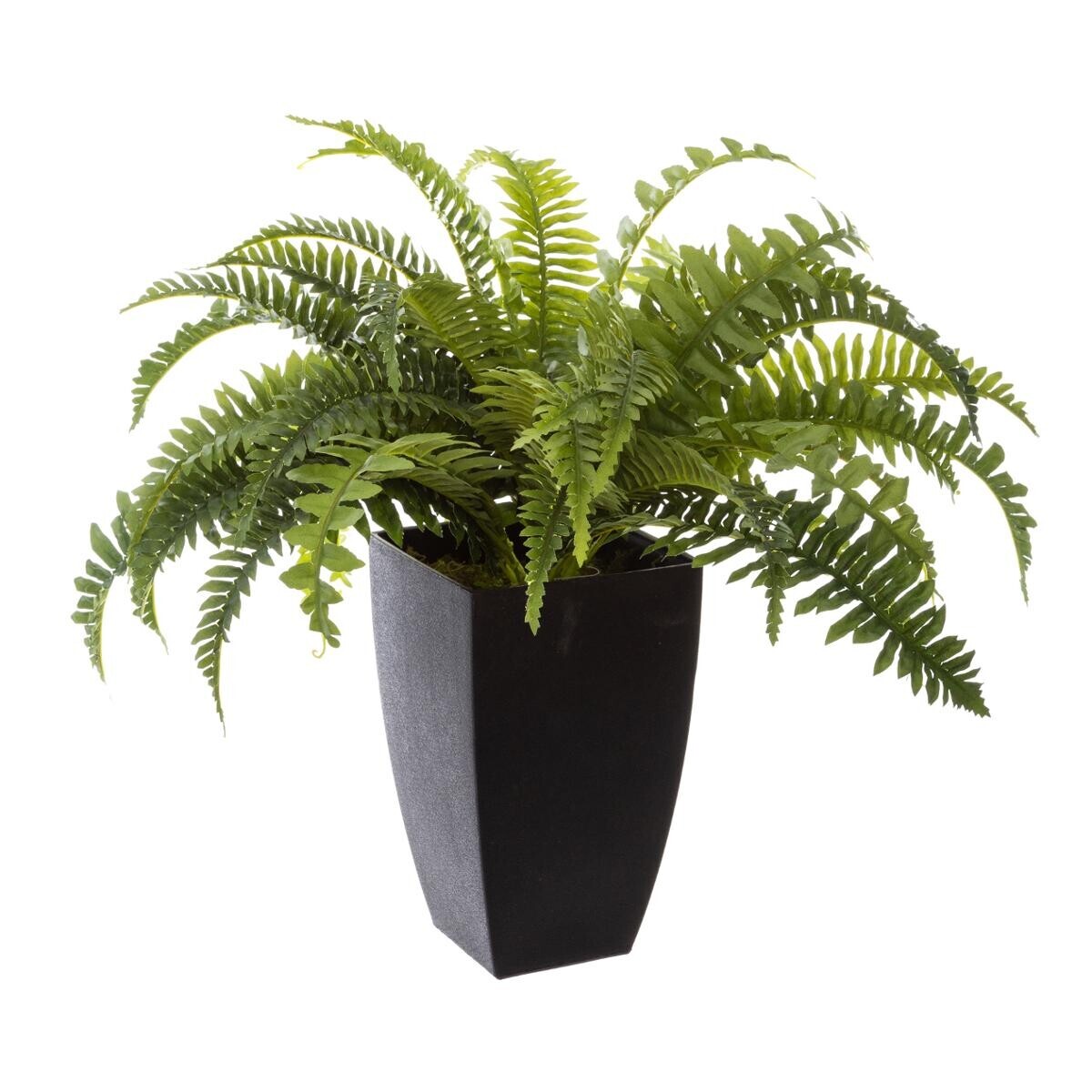 Artificial fern Green, H.55 cm