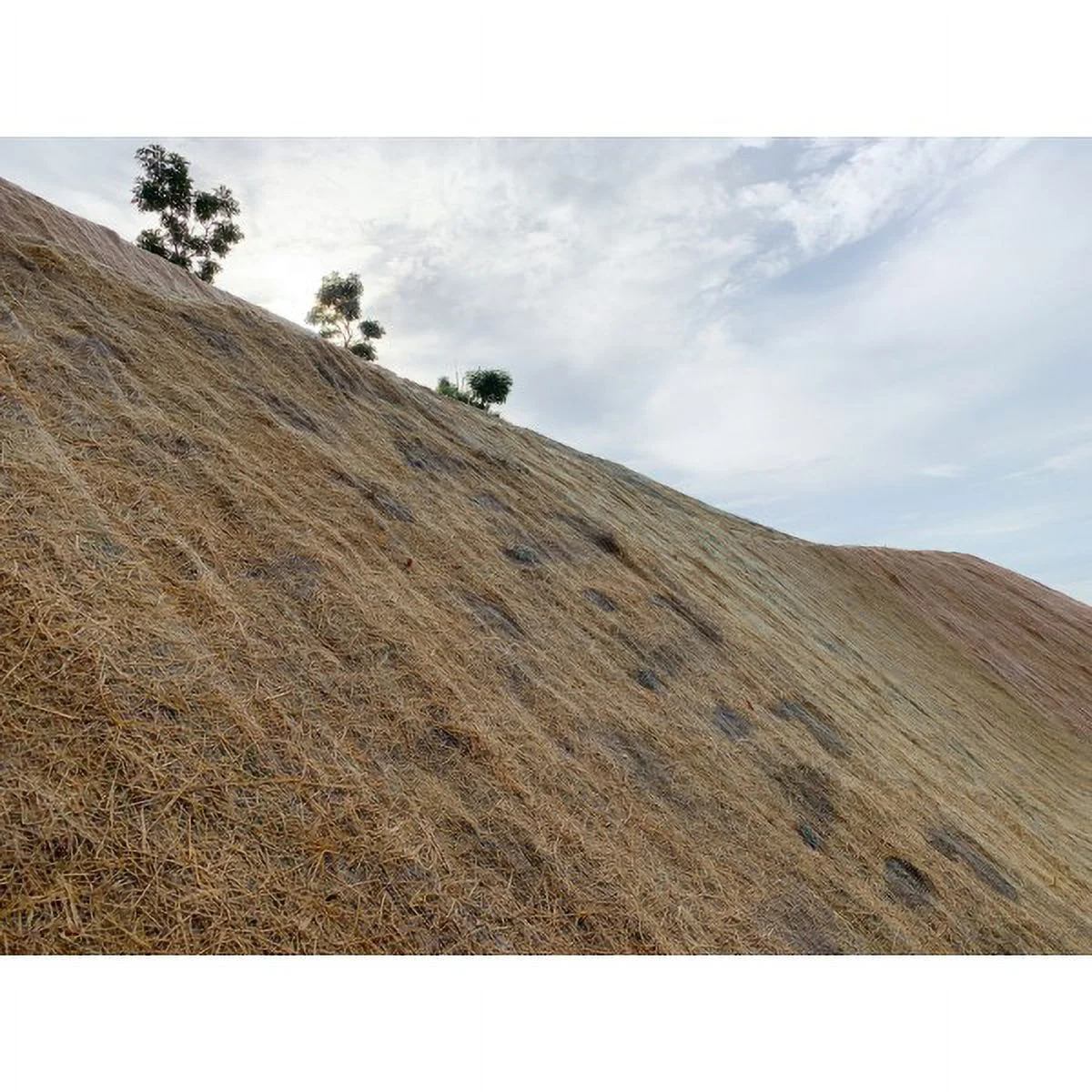 Farm Plastic Supply - Erosion Control Blanket - 7.5' x 112.5' - Coconut Garden and Landscape Cover, Erosion Control Blanket, Coconut Blanket, Erosion Control, Mulch, Slope Stabilizer