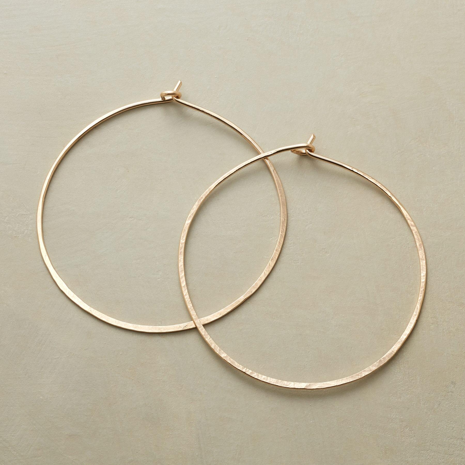 Shimmering Hoops - Sundance Clothing