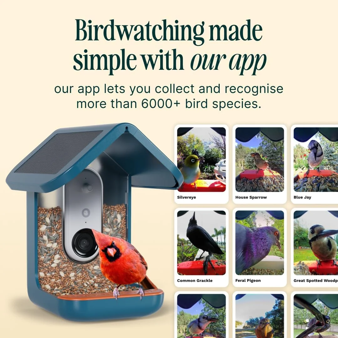 Birdbuddy PRO Solar Smart Bird Feeder With Camera, 5MP Photos, 2K HD Video, Blue - PRO - Image 4 Birdbuddy PRO Solar Smart Bird Feeder With Camera, 5MP Photos, 2K HD Video, Blue - PRO - Image 4