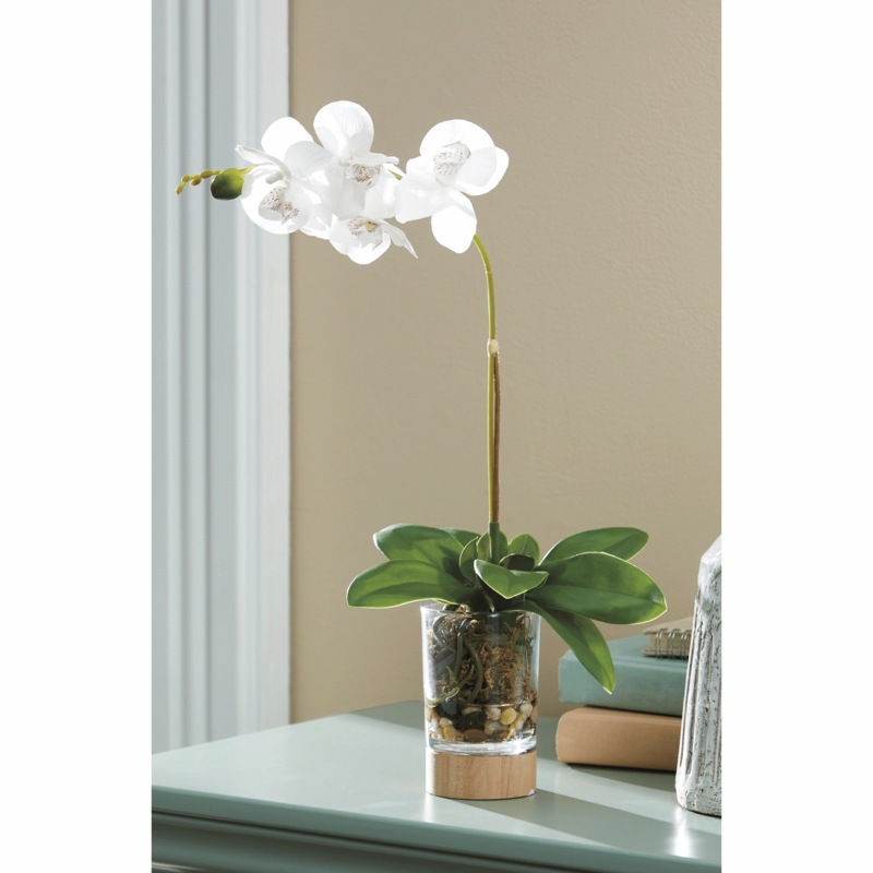 Potted Orchid - MIDNIGHT VELVET CATALOG