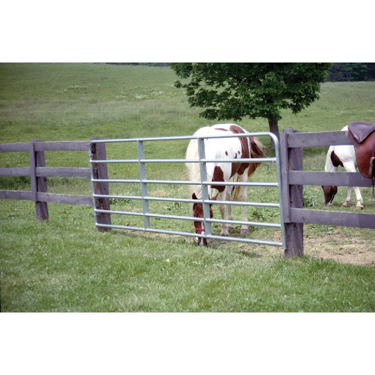 Tarter 50 In. H. x 14 Ft. L. x 1-3/4 In. Tube Diameter Galvanized Tube Gate
