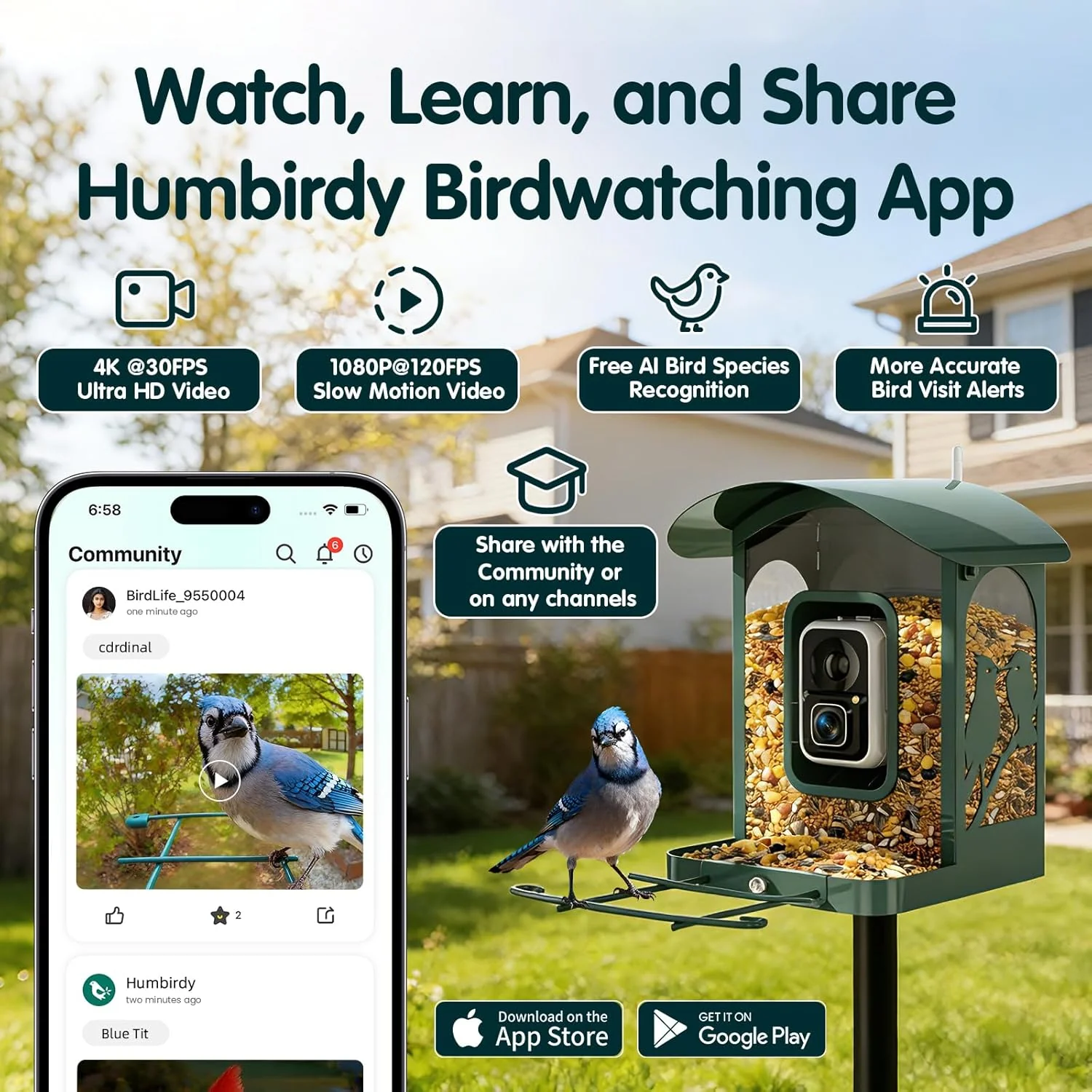 Humbirdy Smart Bird Feeder With Camera, 4K Ultra HD, Solar Powered, 2.4G/5G Wi-Fi - Image 7 Humbirdy Smart Bird Feeder With Camera, 4K Ultra HD, Solar Powered, 2.4G/5G Wi-Fi - Image 7