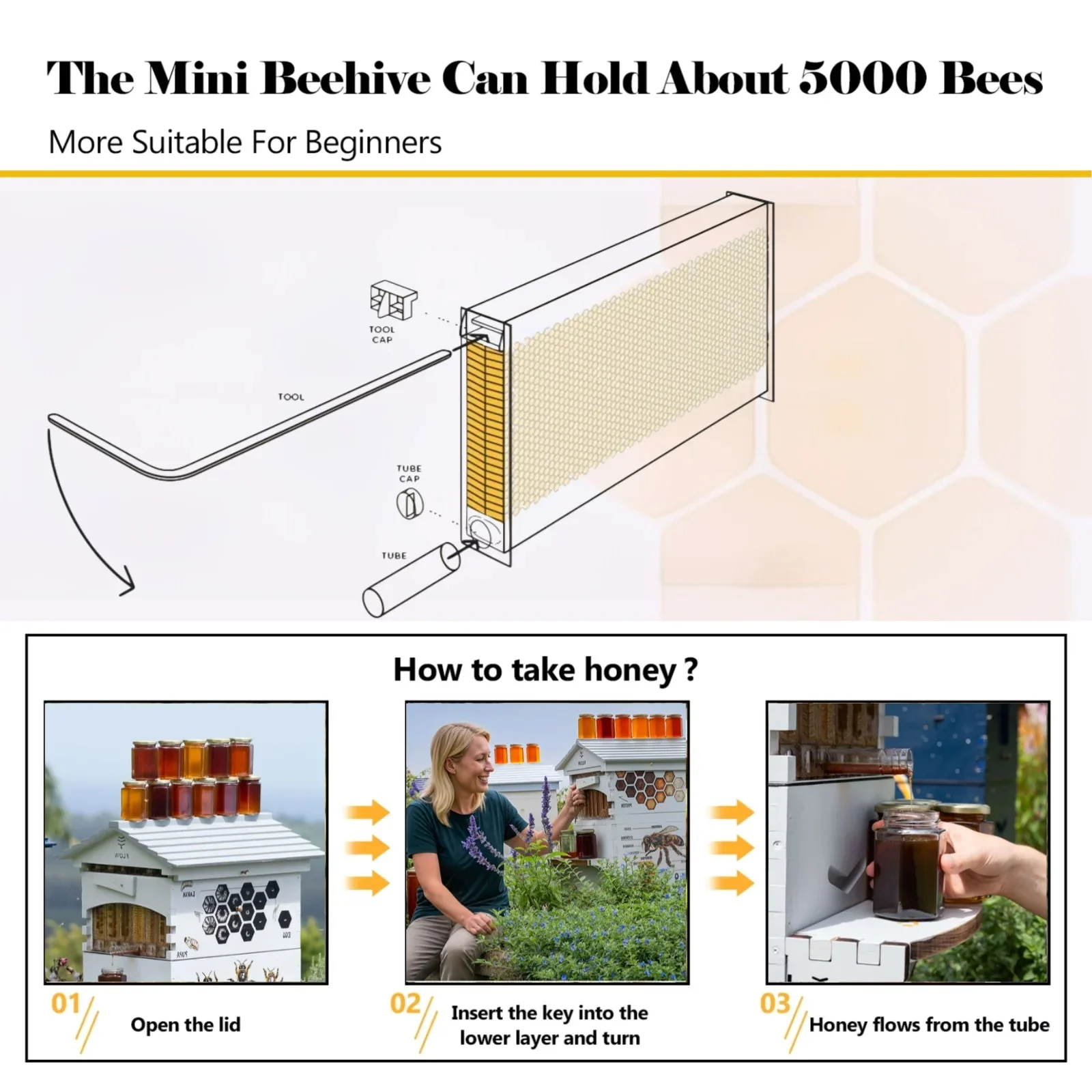AUSHIVE Wax-Coated Cedarwood Beehive Kit With 4 Beehive Frames And 6 Brood Frames - Beige - Image 10 AUSHIVE Wax-Coated Cedarwood Beehive Kit With 4 Beehive Frames And 6 Brood Frames - Beige - Image 10