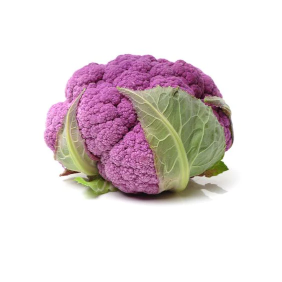 Purple cauliflower – colorful vegetables with a mild aroma