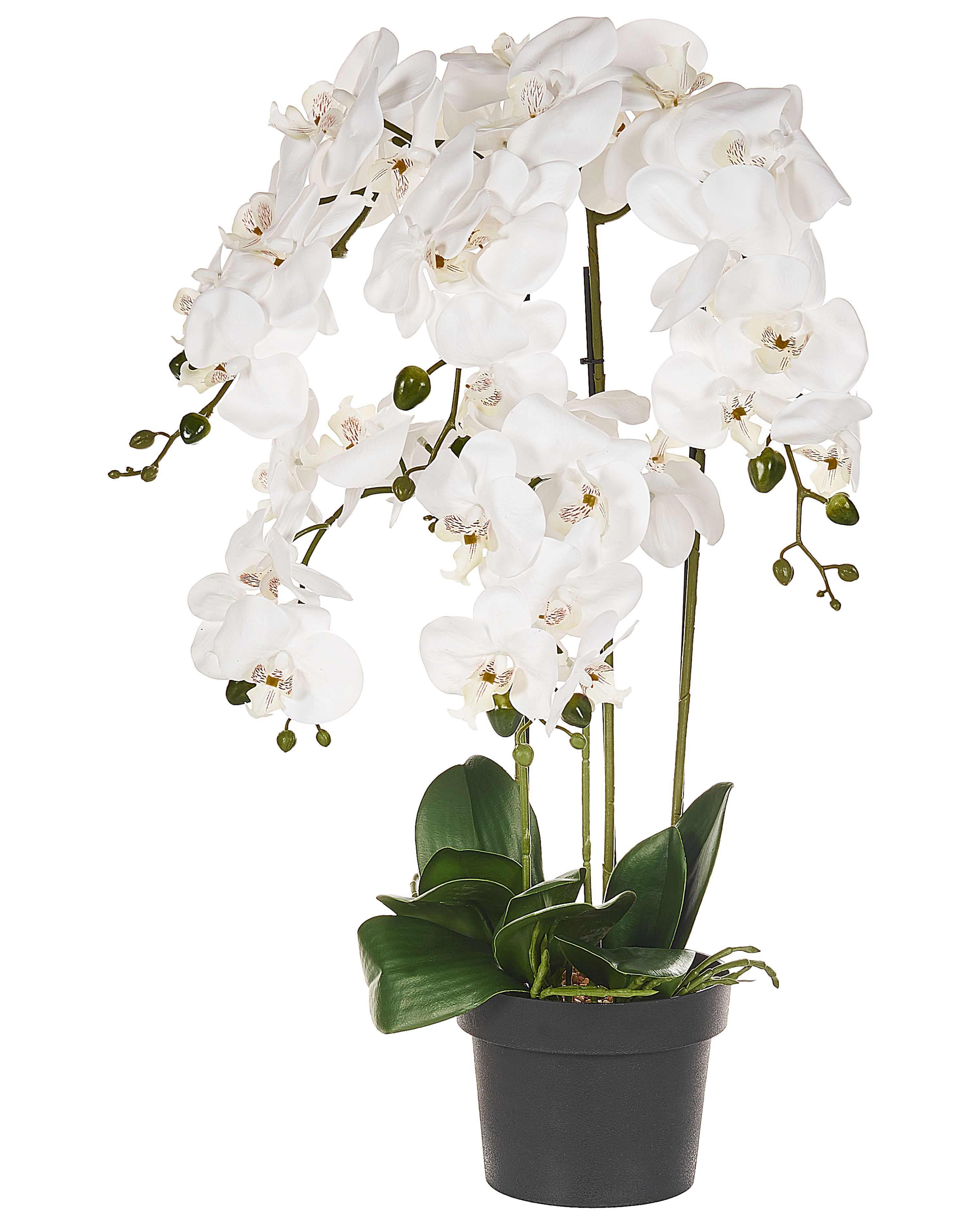 Artificial Plant ORCHID 65 cm White