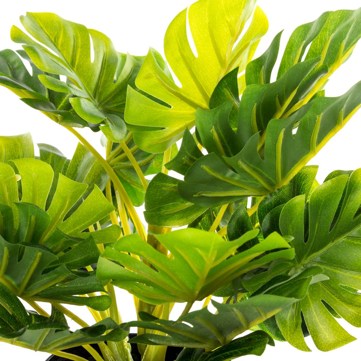 Artificial plant H.30 cm