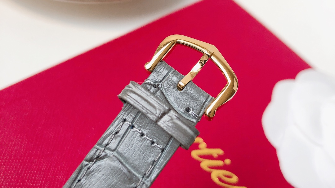 Santos Demoisell - Stainless Steel Mini - Grey Gold(1:1 replica) - Top club