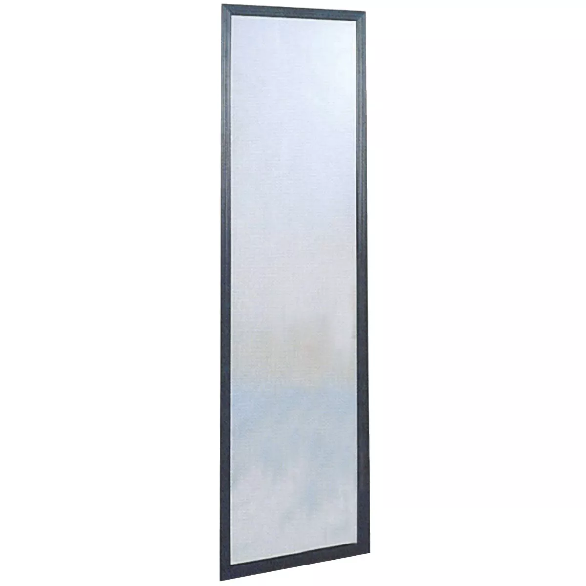 Home Decor Innovations Suave 13 In. x 49 In. Black Plastic Door Mirror