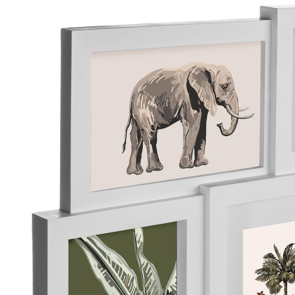 Jumble "Cali" White, 9 photos