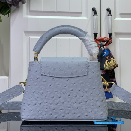 Powder Blue Ostrich Leather Mini Handbag with Gold Charm Chain1:1High-quality replica
