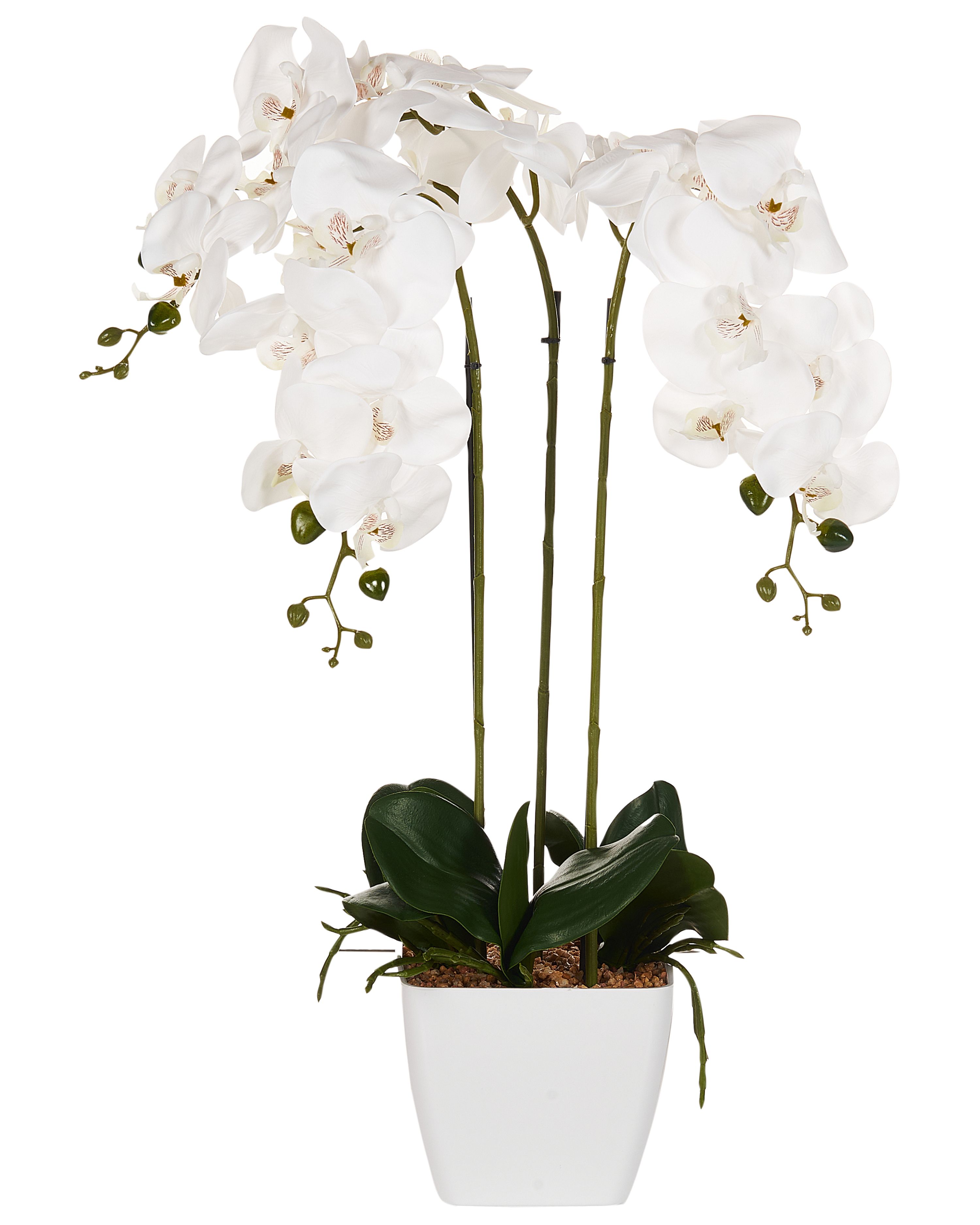Artificial Plant ORCHID 59 cm White