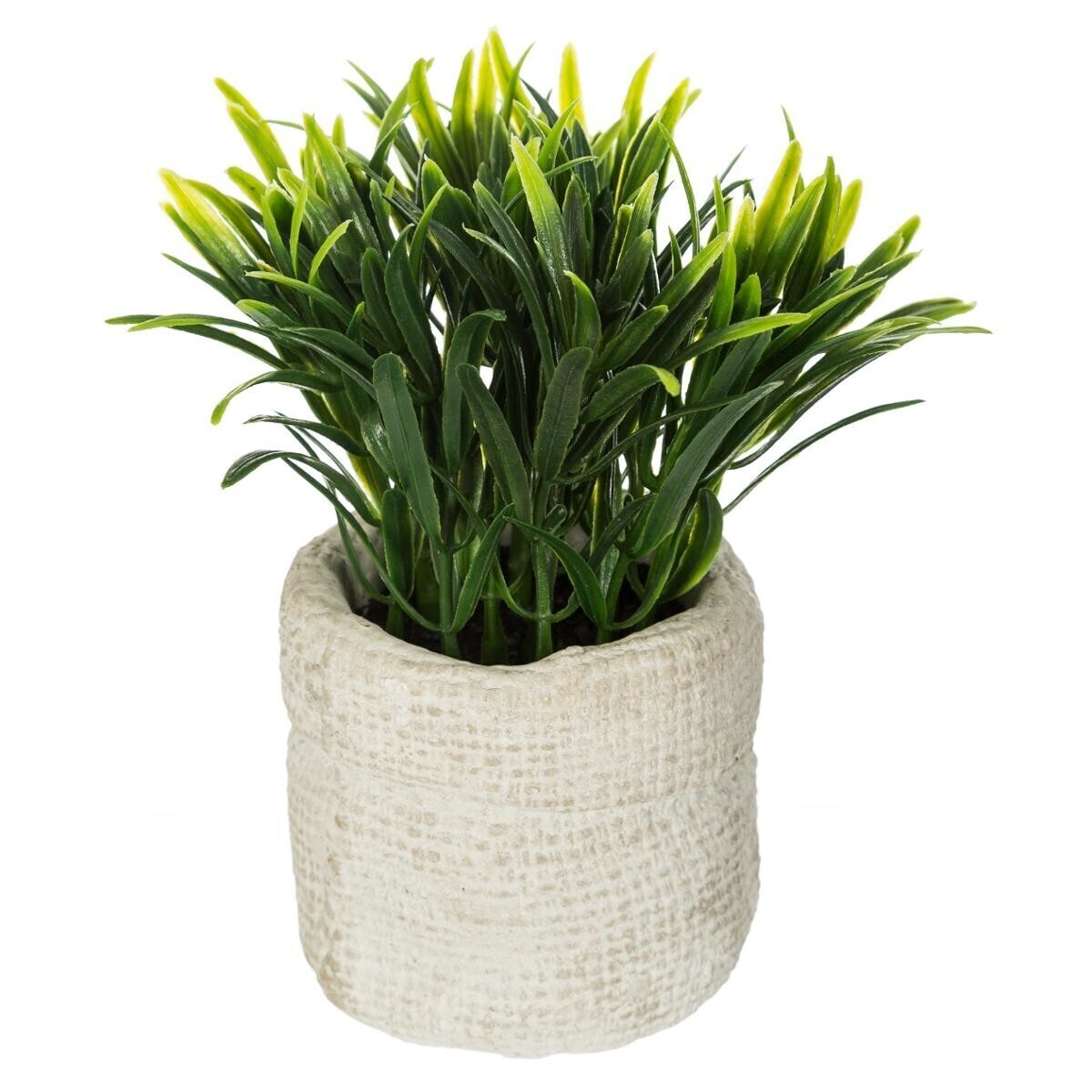 Artificial plant Cement pot, H.14 cm