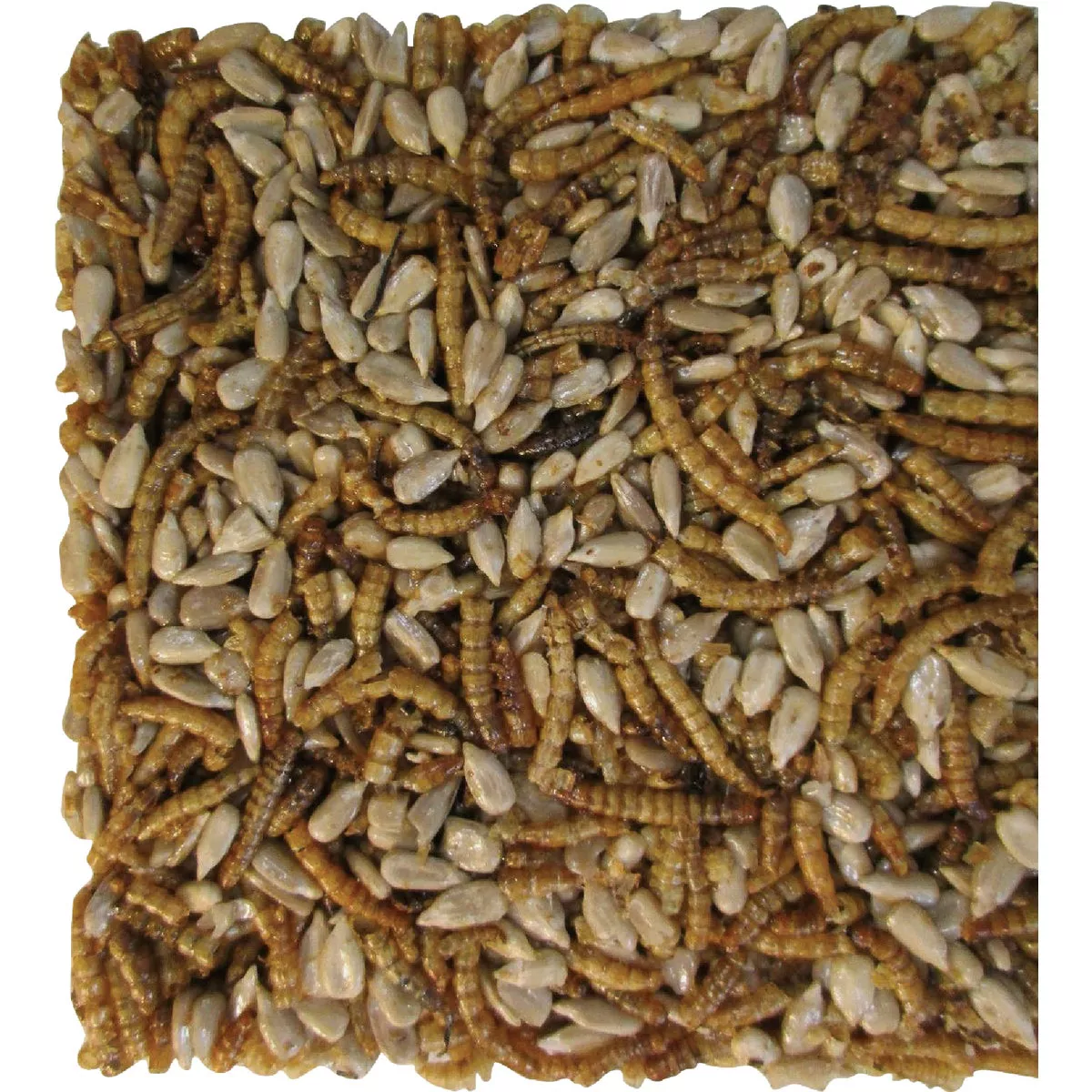 Pecking Order 20 Oz. Large Mealworm Cake
