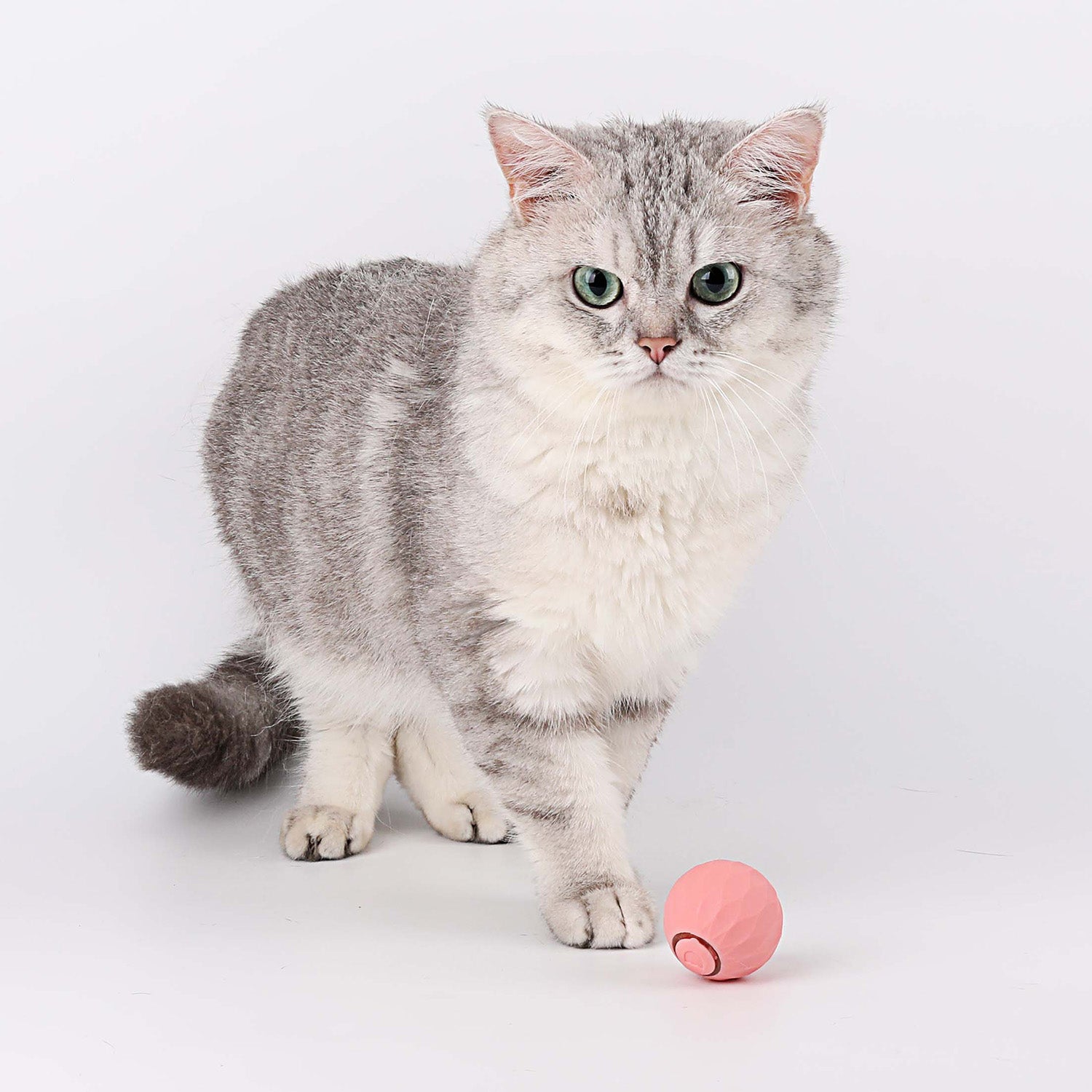Interactief Rollend Kattenspeeltje met Drie Speelmodi – Stimuleert Jachtinstincten