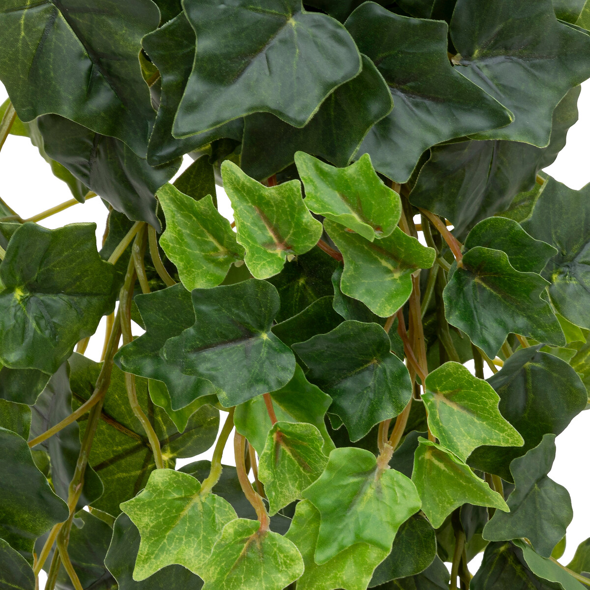 "Tria" artificial drooping ivy stem Green, H.85 cm