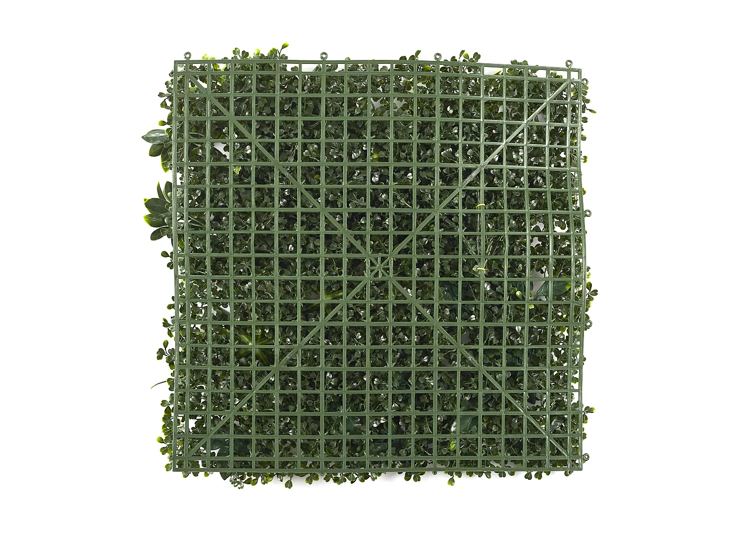Mur Végétal Artificiel - HOME DECO FACTORY - Panache - Vert - 50 x 50 cm