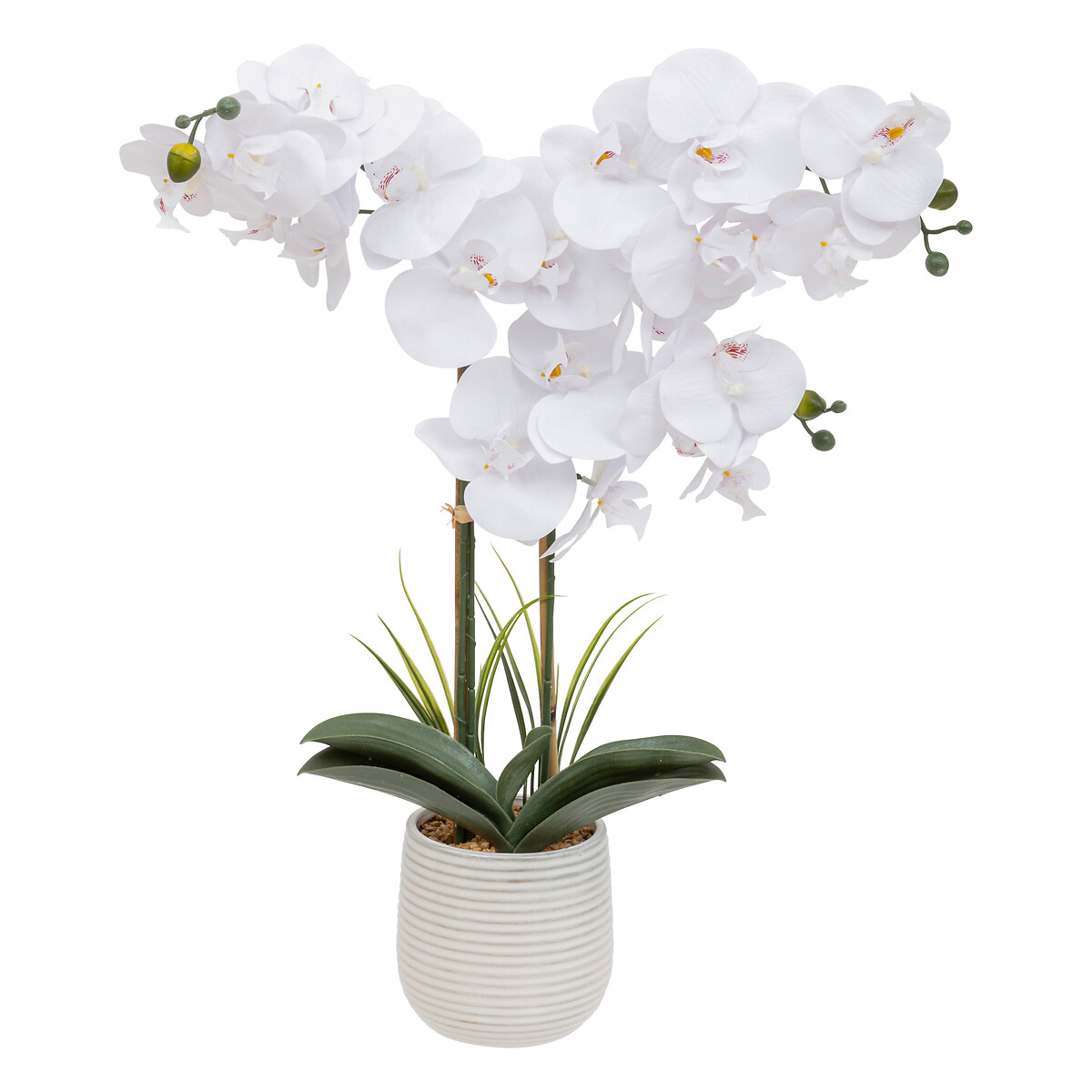 "Riva" artificial orchid Ceramic pot, H.60 cm