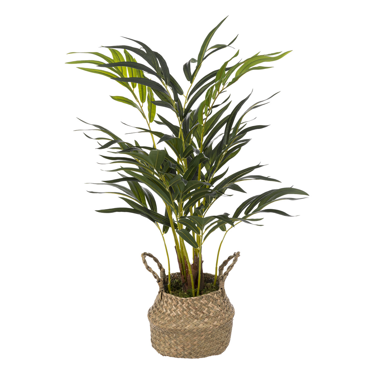 Artificial palm tree Reed pot, H.80 cm