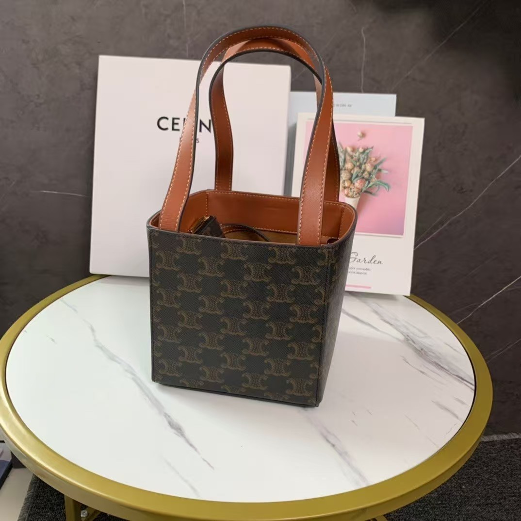 Celine Cube Bag