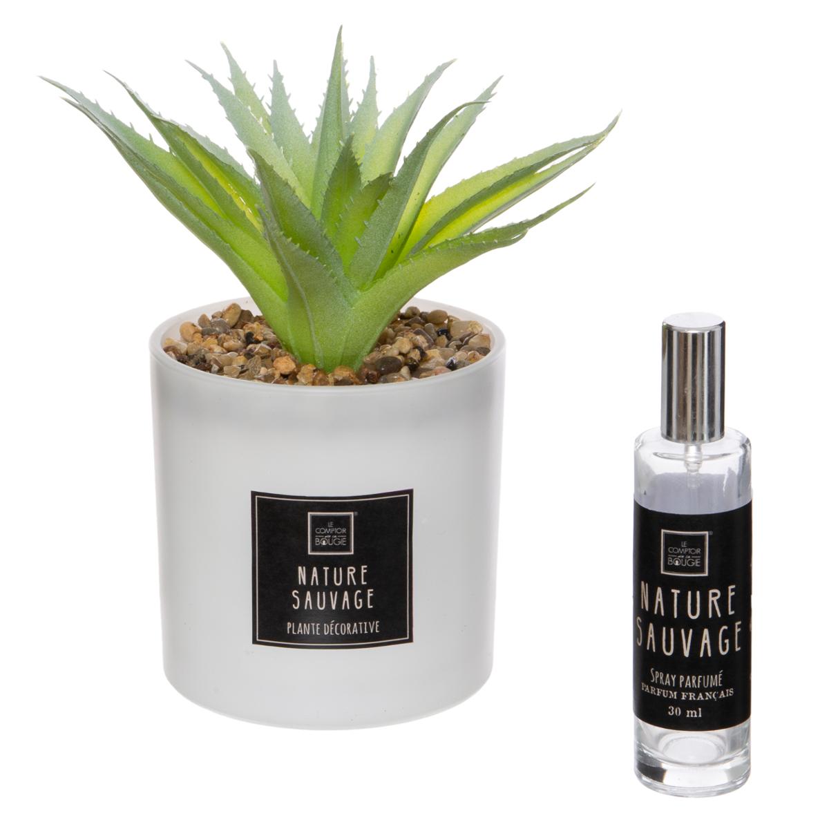 Scent box "Cactus" 16x19 cm