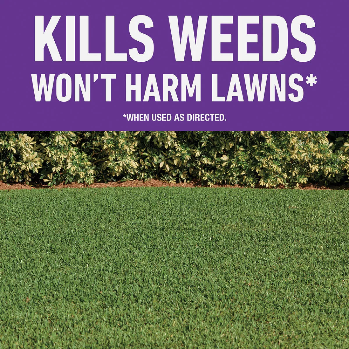 Roundup For Lawns 1 Gal. Ready To Use Wand Sprayer Southern Formula Weed Killer