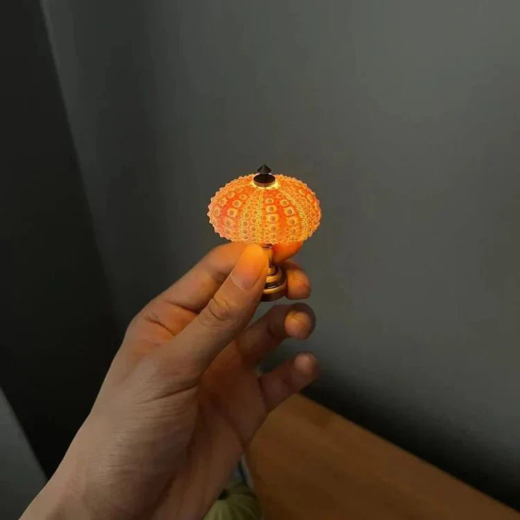 SeaGlowCraft – DIY Nachtlampje met Zee-Egel Sfeerlicht